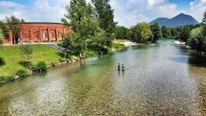 Sotočje 2